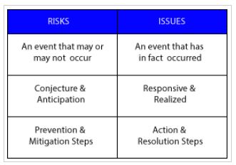 Risk and Issues